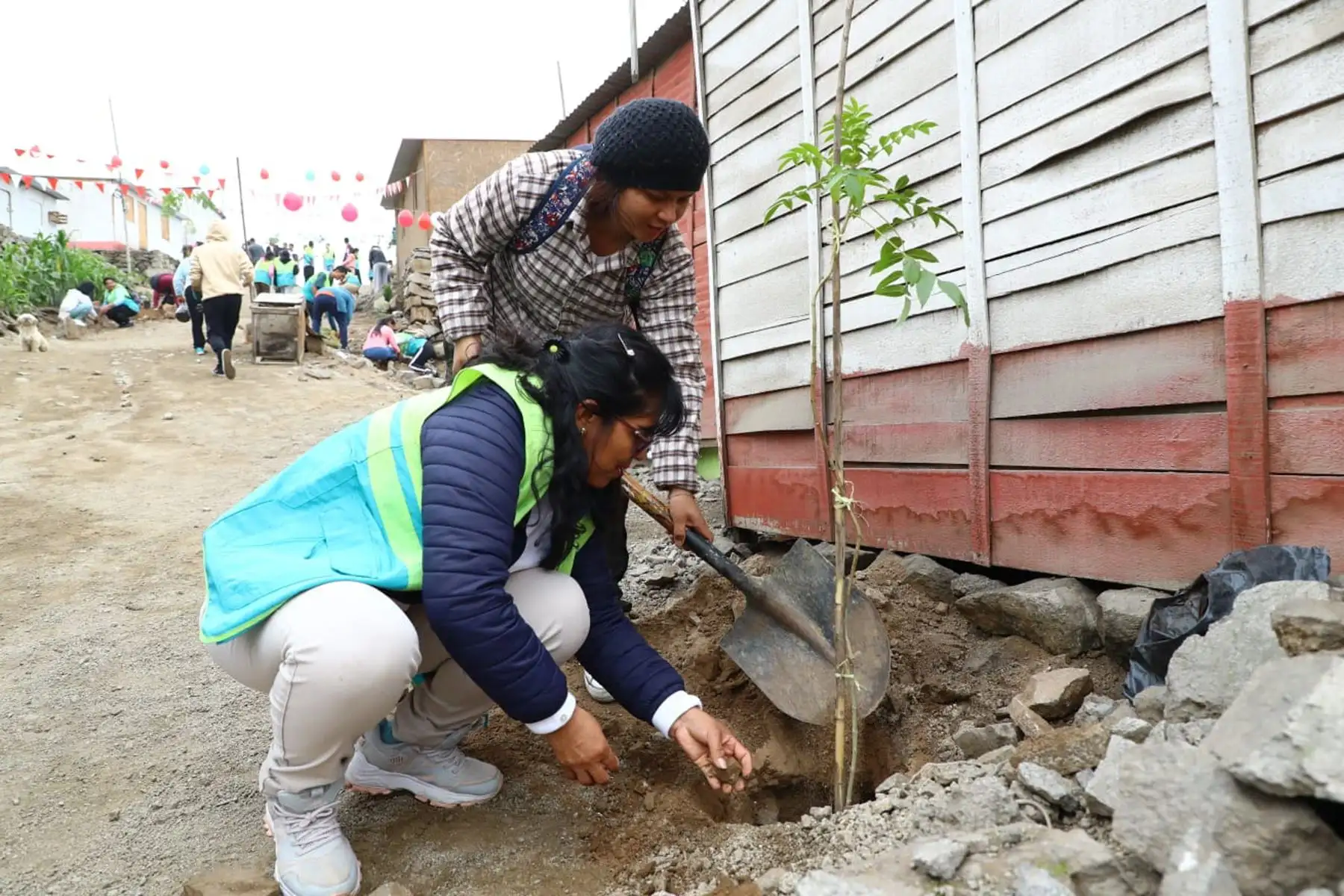 La segunda Gran Cruzada Verde Nacional, que impulsa el Ministerio del Ambiente , continúa su jornada de forestación y/o arborización en diferentes regiones del país, a fin de contribuir a la mejora de la calidad ambiental de las zonas urbanizadas y de promover la participación activa de la ciudadanía en estrecha coordinación con las autoridades.
Foto: Minam