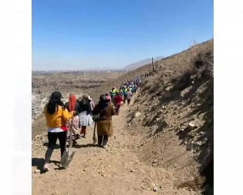 En Semana del Árbol, voluntarios sembraron 3,000 plantones en distrito de Alto Selva Alegre, ubicado en la provincia y región Arequipa. ANDINA/Difusión