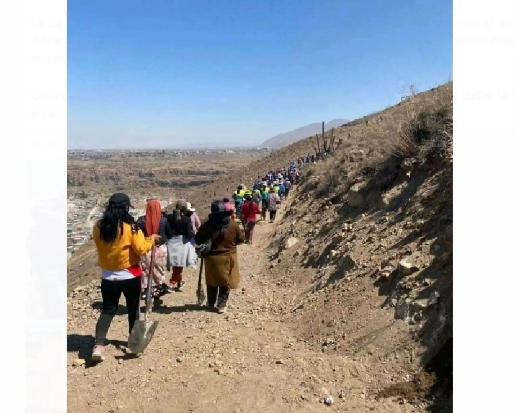 En Semana del Árbol, voluntarios sembraron 3,000 plantones en distrito de Alto Selva Alegre, ubicado en la provincia y región Arequipa. ANDINA/Difusión