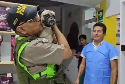 Policía detiene a sujeto por golpear ferozmente a su perro en Breña. Foto:ANDINA/Difusiòn