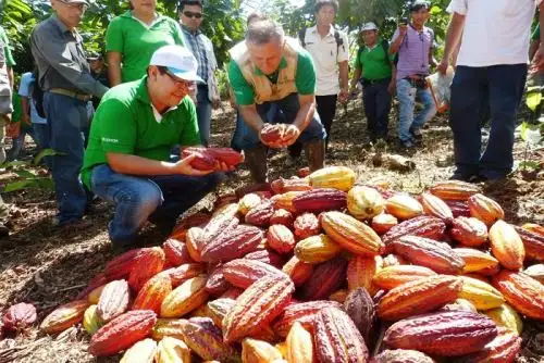 Ucayali: Devida anuncia cambio en el enfoque del desarrollo alternativo y mayores recursos.