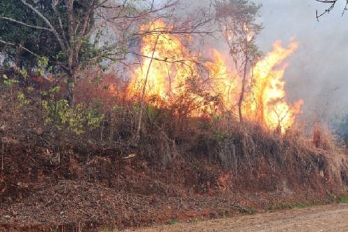 Un incendio forestal arrasa con pastizales de ichu en distrito de Yanacancha, región Pasco.