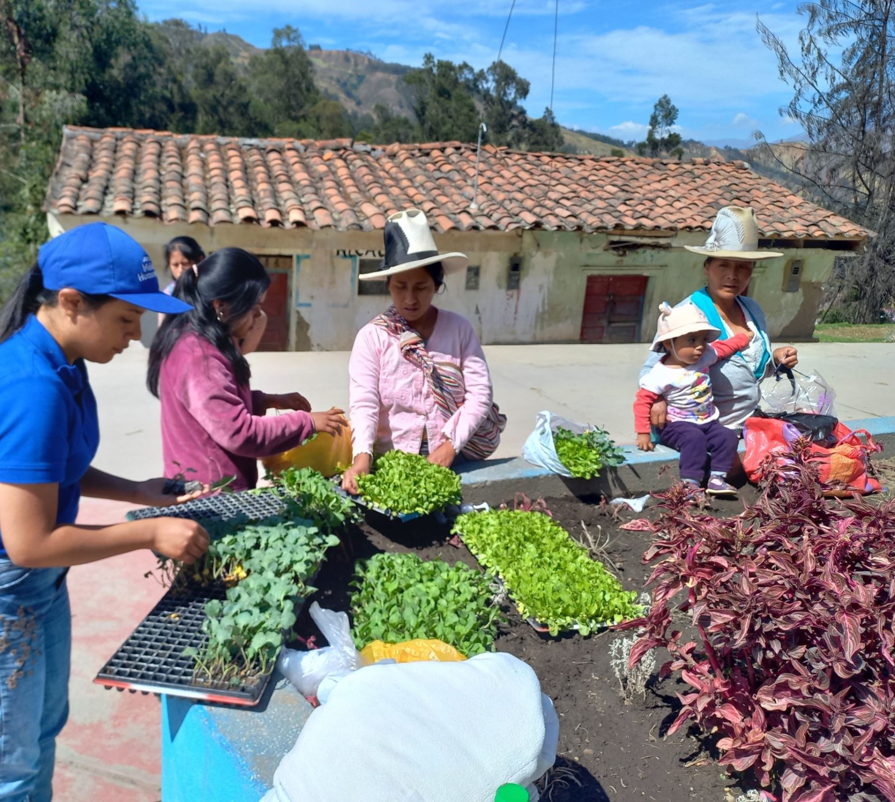 Estados Unidos se une a la ONG Misión Huascarán, a través de Usaid, para combatir la anemia e inseguridad alimentaria en Perú. Foto: difusión.