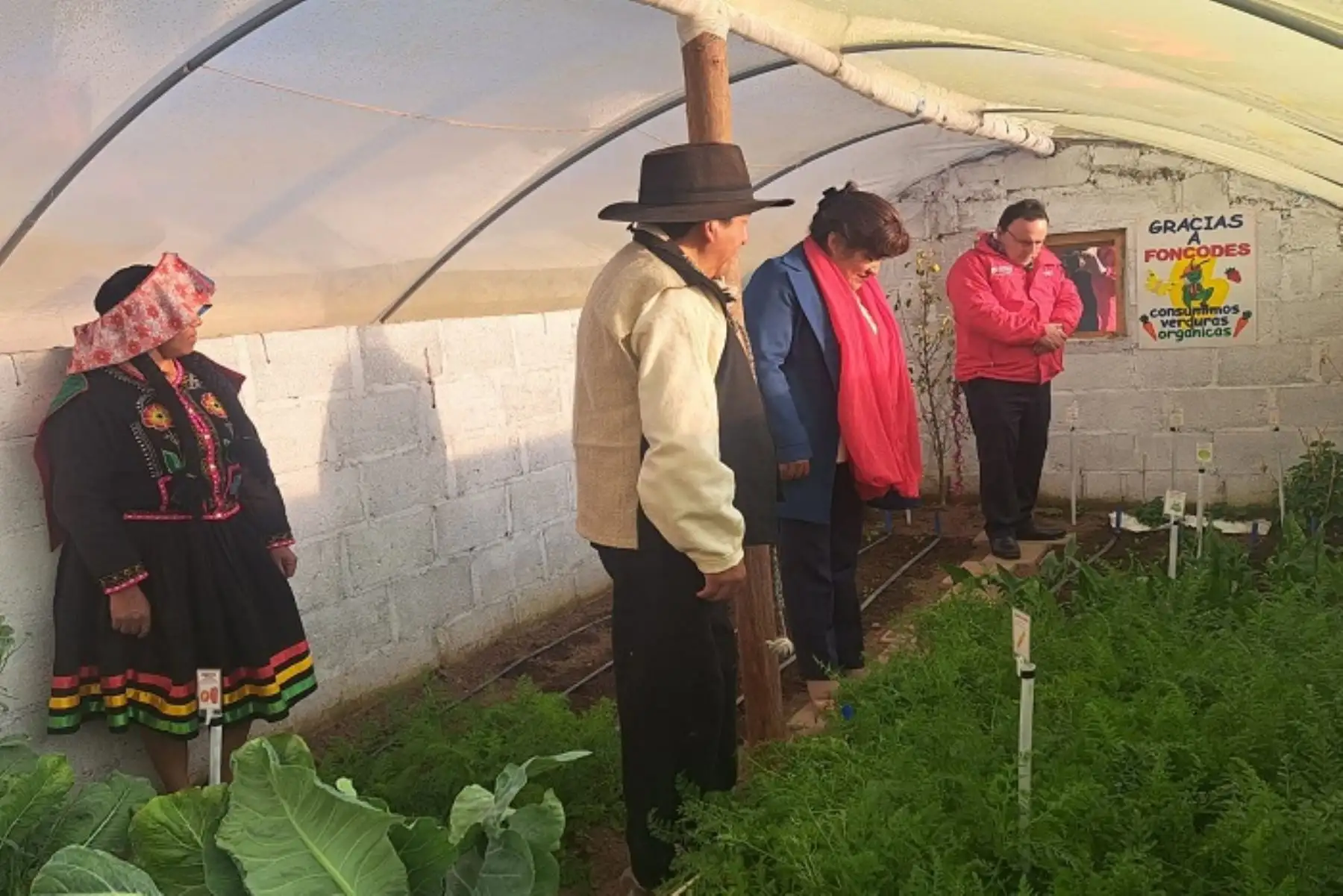 Puno: Foncodes invierte S/ 4.8 millones e impulsa emprendimientos en Pucará.