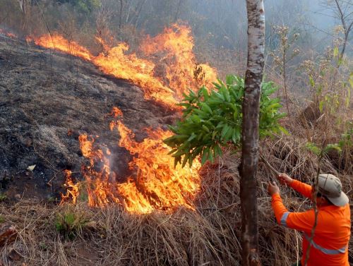 El Indeci remarca que no se debe intervenir en un incendio forestal si no se cuenta con el entrenamiento y equipo de protección adecuados. Foto: ANDINA/Difusión