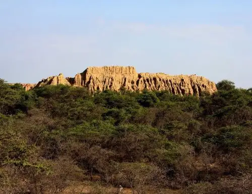 Sernanp confirmó la postulación del Santuario Histórico Bosque de Pómac, ubicado en Lambayeque a la Jerarquía 4, la máxima distinción mundial que se otorga al destino turístico de un país. ANDINA/Difusión
