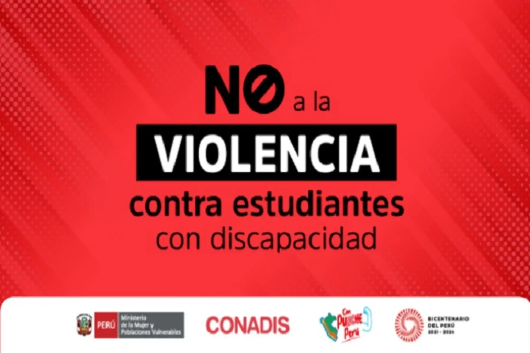 El Conadis exhorta a las autoridades, personal educativo y padres de familia de colegios públicos y privados a velar por los derechos de sus estudiantes con discapacidad.