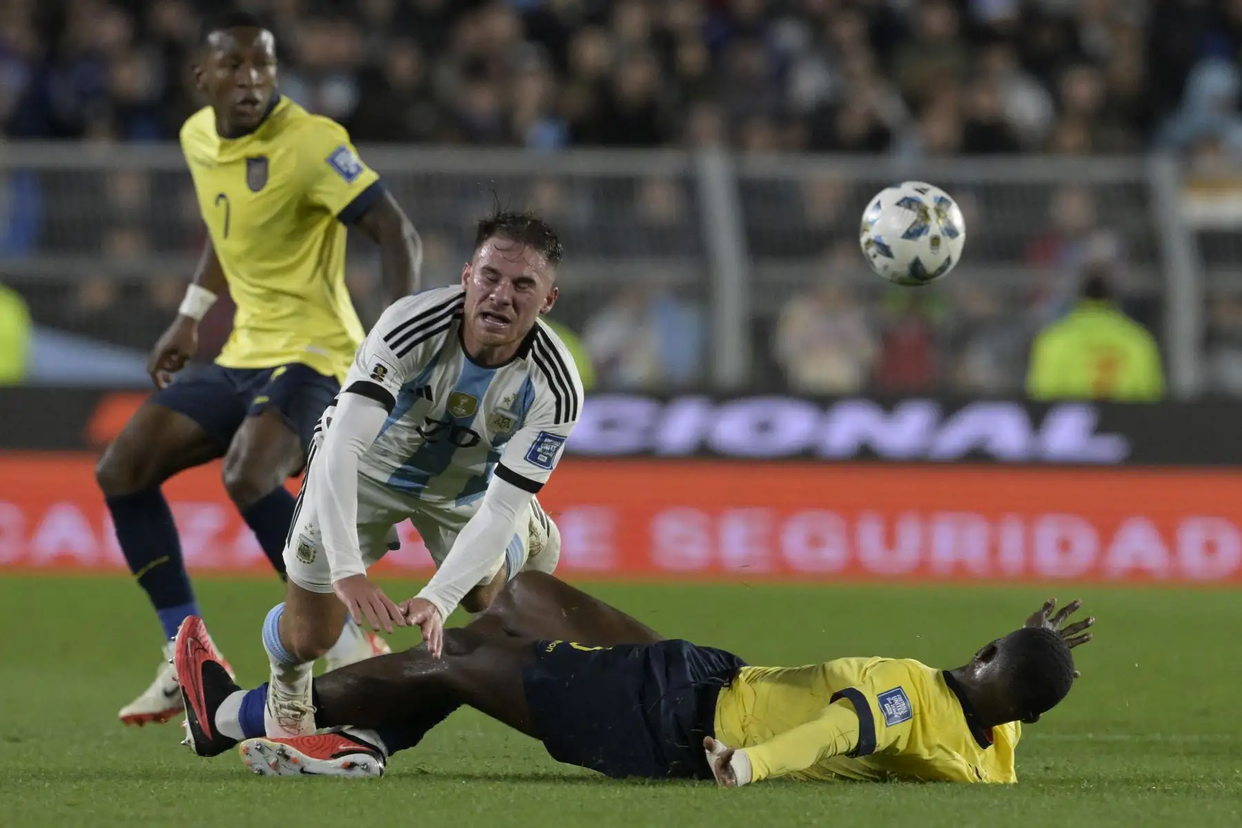 El mediocampista argentino Alexis Mac Allister  lucha por el balón con el defensor ecuatoriano Willian Pacho durante el partido de fútbol de las eliminatorias sudamericanas para la Copa Mundial de la FIFA 2026 entre Argentina y Ecuador, en el estadio Mas Monumental de Buenos Aires. Foto: ANDINA/AFP