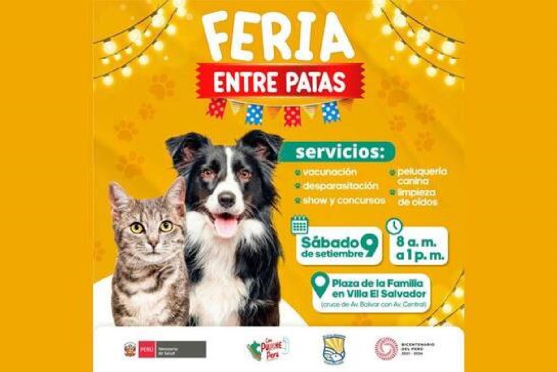 Ves Este Sábado 9 Se Realizará Feria Para Promover La Tenencia Responsable De Mascotas 4731