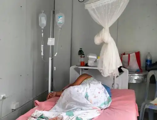 Preocupación en Tumbes por incremento de casos de dengue y ya supera los 10,000 afectados por esta enfermedad en dicha región.