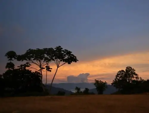 Piura y Cajamarca unen esfuerzos para la conservación de bosques montanos y páramos, uno de los principales ecosistemas de la Sierra norte del Perú que alberga una gran diversidad de especies. ANDINA/Difusión