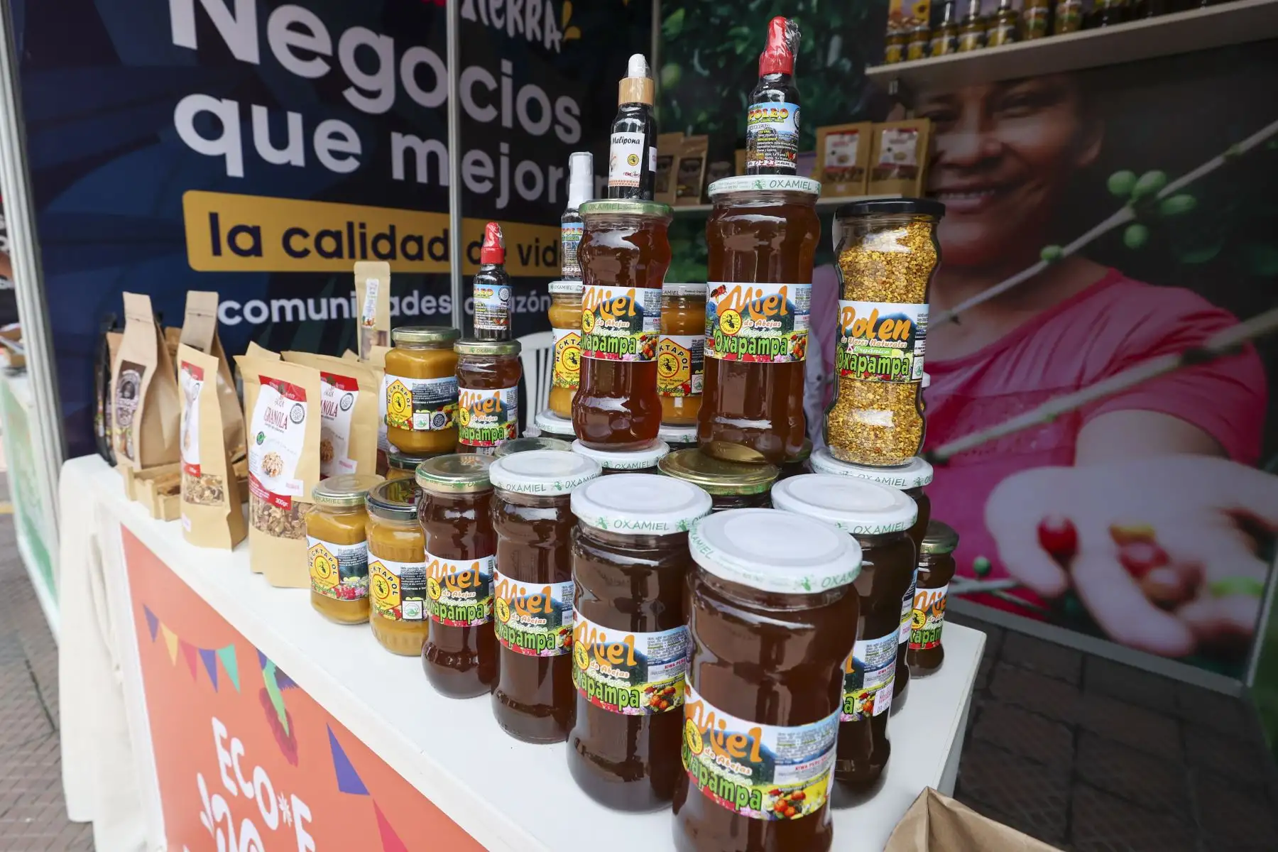 Con la presencia de los ministros Albina Ruiz (Ambiente), Ana María Choquehuanca (Producción) y Juan Carlos Mathews (Comercio Exterior y Turismo) y del alcalde de Miraflores, Carlos Canales Anchorena, se inauguró la primera edición de la Ecoferia Madre Tierra, que organiza el ministerio del Ambiente y estará abierta al público el viernes 8 y sábado 9 de setiembre en el parque Kennedy.

Foto: ANDINA/Juan Carlos Guzmán Negrini