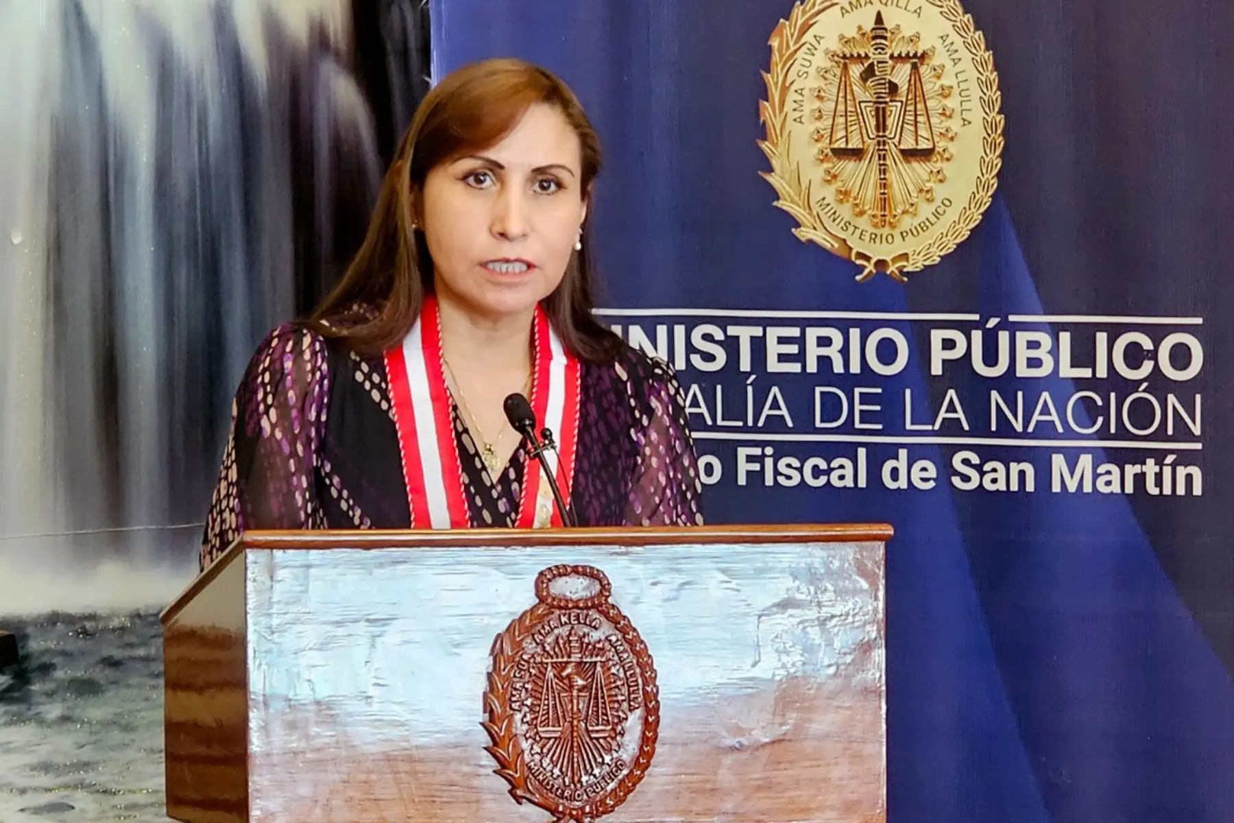 ANDINA/Difusión