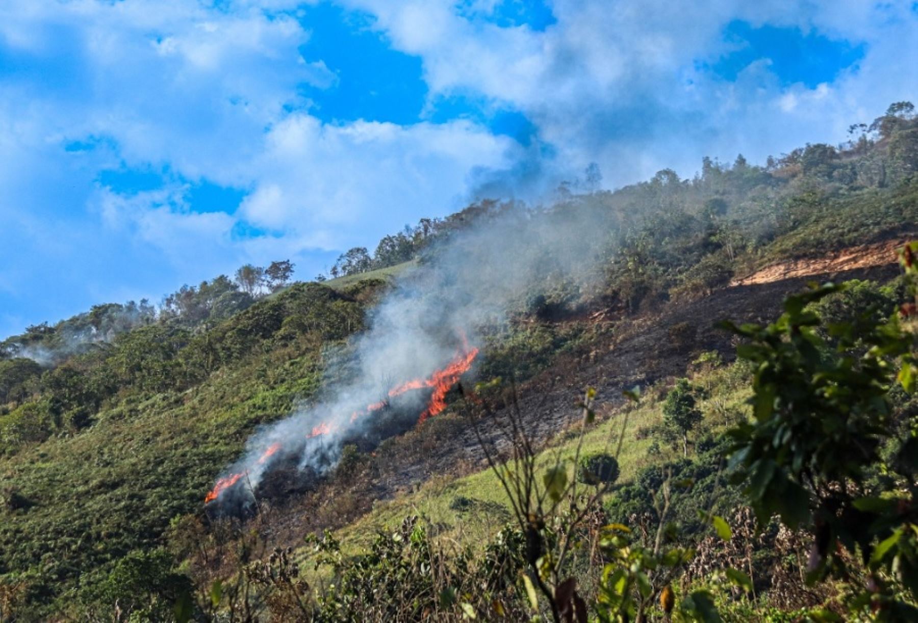 Un incendio forestal se registra en Arequipa, en el sector de Liguay - Callimarca, en el distrito de Cabanaconde, en la provincia de Caylloma, informó el Centro de Operaciones de Emergencia Regional.  ANDINA/Difusión