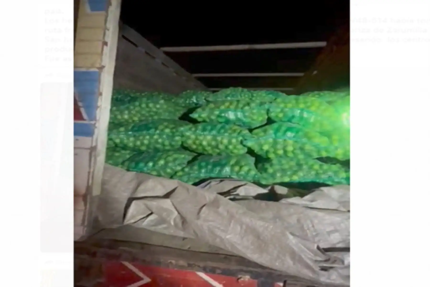 Se incautó la variedad Tahití, el cual es diferente al fruto peruano que es más verde y recibe el nombre de limón criollo.