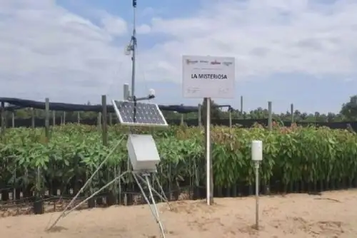 Se refuerzan las actividades de investigación y provisión de información ante la presencia de El Niño costero y eventual Niño global.