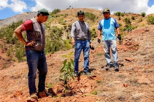 El déficit hídrico amenaza con impactar a pobladores y productores de 544 distritos de 14 regiones del país. Foto: cortesía.