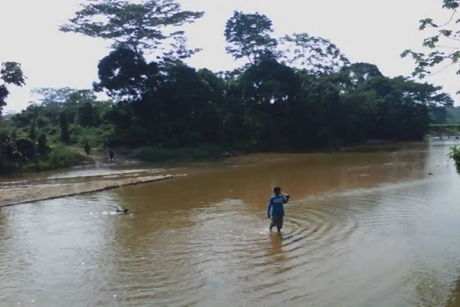 Alerta en Loreto: río amazonas continúia descenso en su nivel y alcanzó umbral rojo