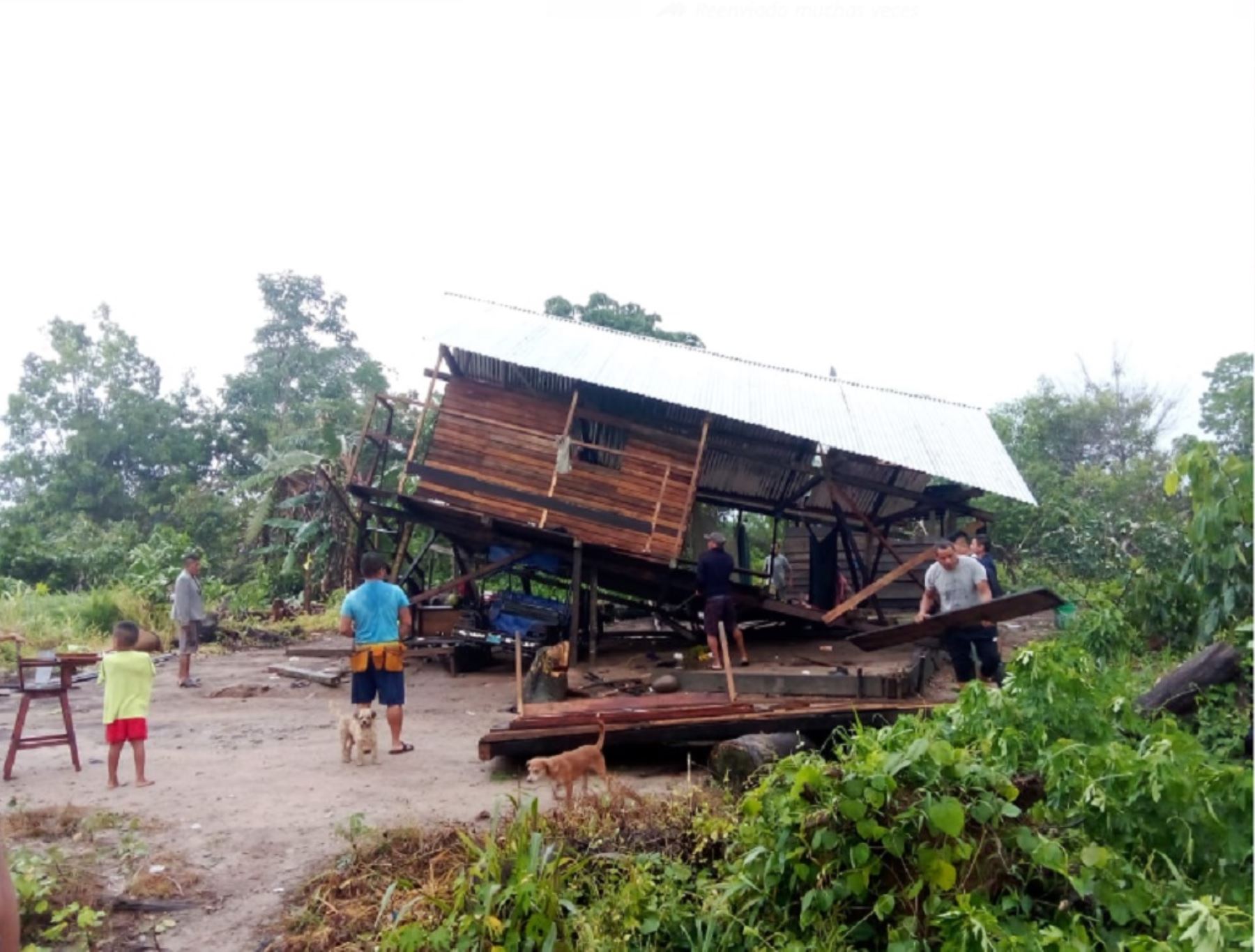 Vientos fuertes causan daños en techos de al menos 14 viviendas de comunidad nativa ubicada en el distrito de Palcazú, provincia de Oxapampa, región Pasco. ANDINA/Difusión
