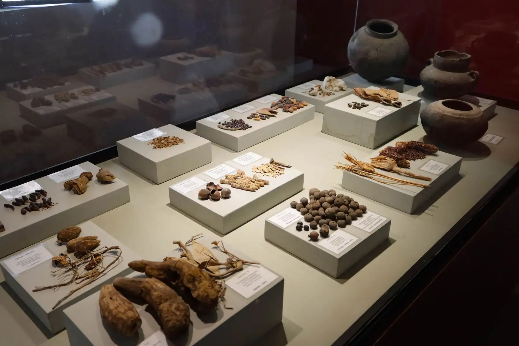 El museo didáctico Antonini, a cargo del arqueólogo italiano Giuseppe Orefici, está ubicado en la región Ica y es muy visitado por turistas nacionales y extranjeros.
Foto: ANDINA/Braian Reyna