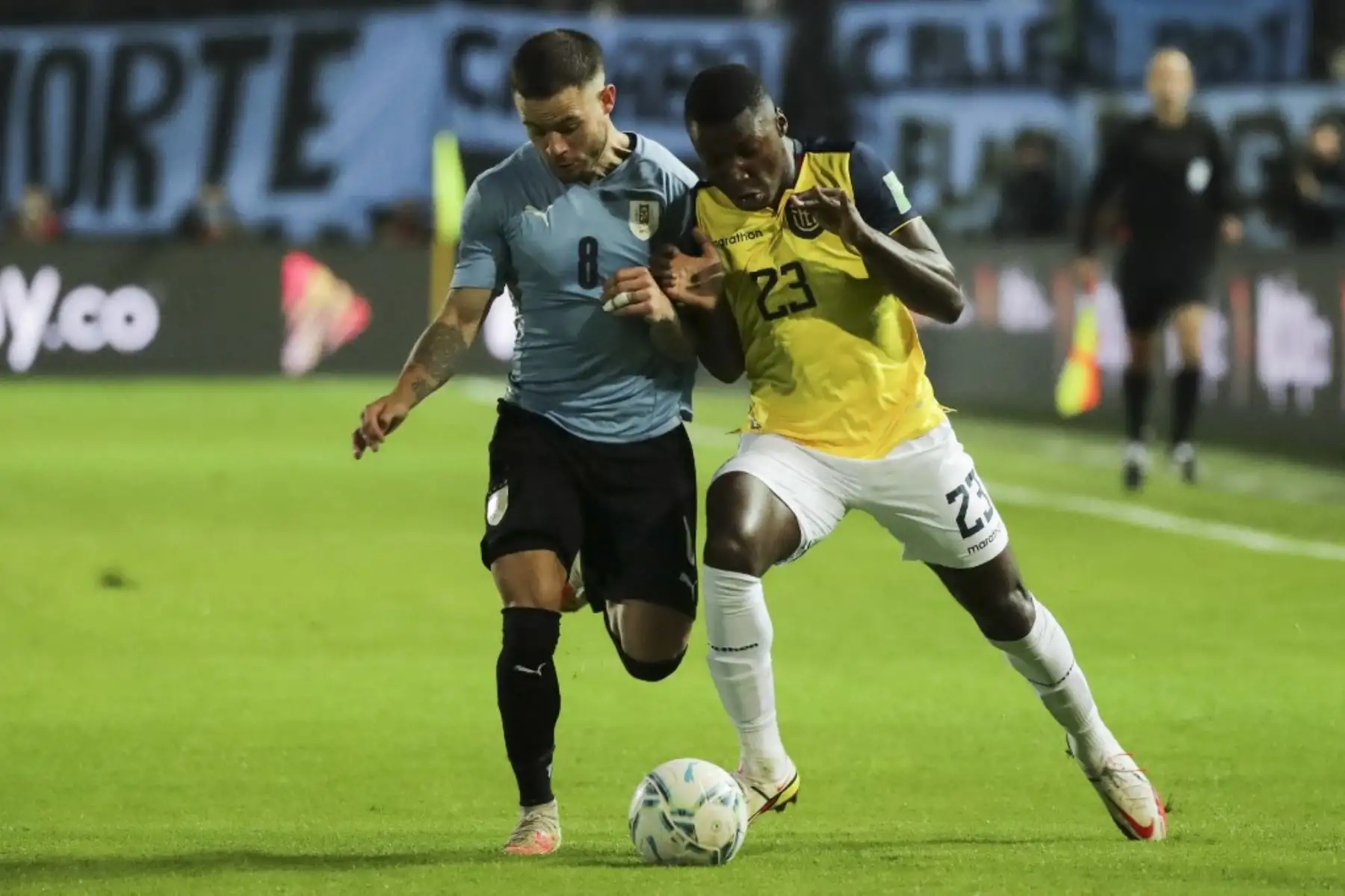 Moisés Caicedo es el referente ofensivo con el que cuenta Ecuador para este partido