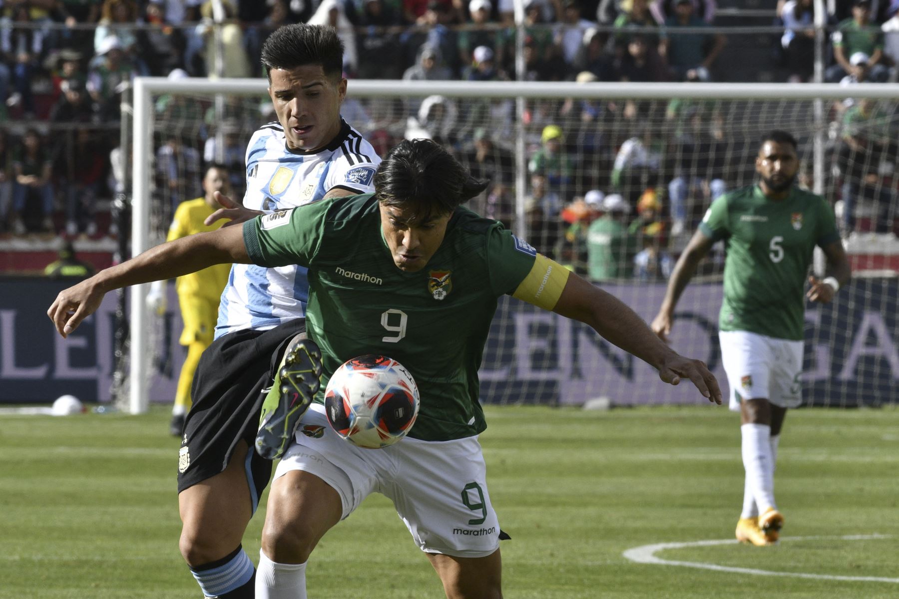 El mediocampista argentino Enzo Fernández  y el delantero boliviano Marcelo Martins luchan por el balón durante el partido de fútbol de las eliminatorias sudamericanas para la Copa Mundial de la FIFA 2026 entre Bolivia y Argentina, en el estadio Hernando Siles de La Paz.
Foto: AFP