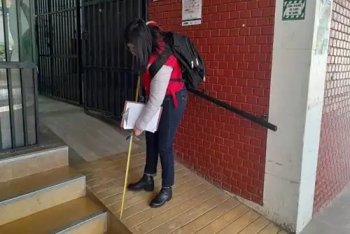 Conadis despliega fiscalizadores para garantizar derechos de personas con discapacidad