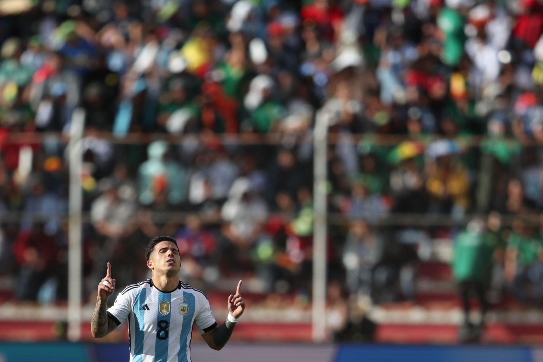 Enzo Fernández de Argentina celebra su gol hoy, en un partido de las Eliminatorias Sudamericanas para la Copa Mundial de Fútbol 2026 entre Bolivia y Argentina en el estadio Hernando Siles en La Paz (Bolivia).
Foto: EFE