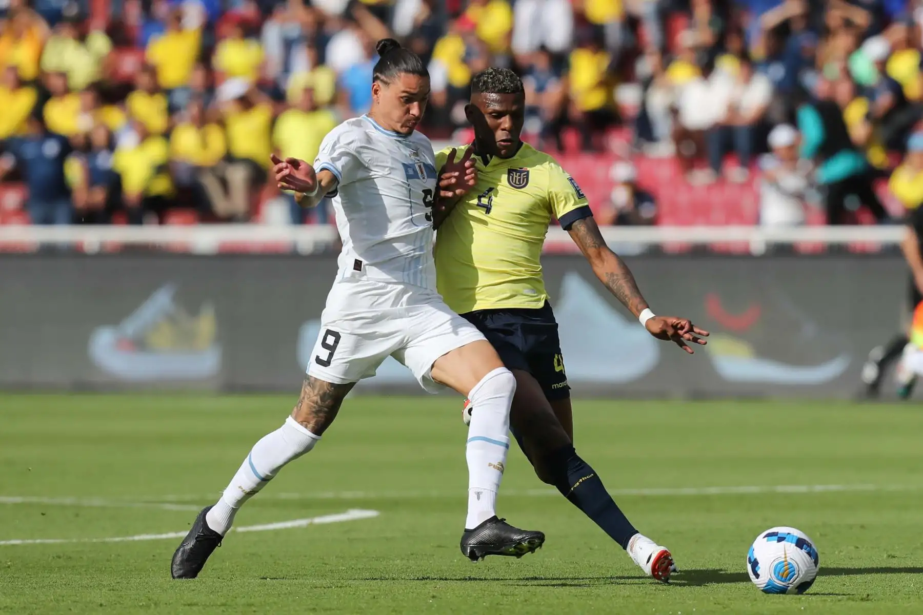 Robert Arboleda (d) de Ecuador disputa el balón con Darwin Núñez de Uruguay hoy, en un partido de las Eliminatorias Sudamericanas para la Copa Mundial de Fútbol 2026 entre Ecuador y Uruguay en el estadio Rodrigo Paz Delgado en Quito (Ecuador).
Foto: EFE