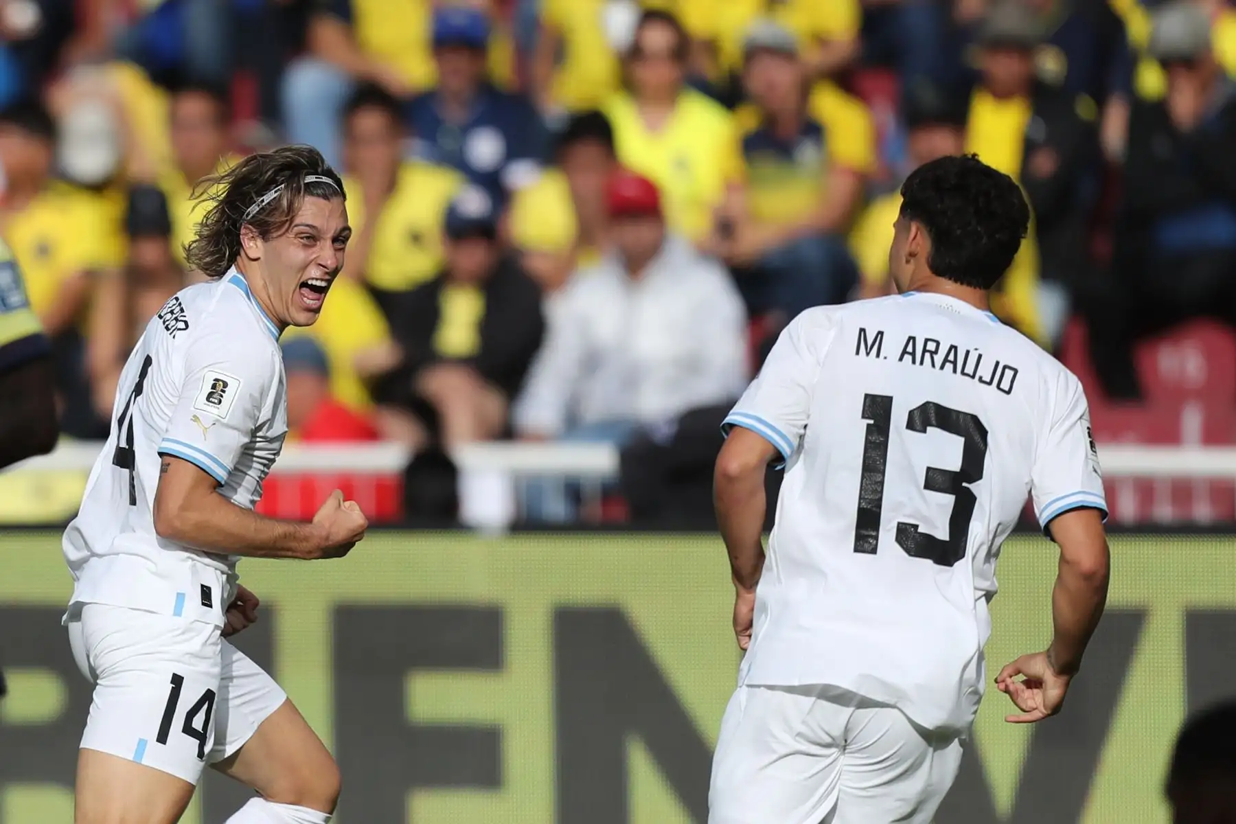 Agustín Canobbio (i) de Uruguay celebra un gol hoy, en un partido de las Eliminatorias Sudamericanas para la Copa Mundial de Fútbol 2026 entre Ecuador y Uruguay en el estadio Rodrigo Paz Delgado en Quito (Ecuador). 
Foto: EFE