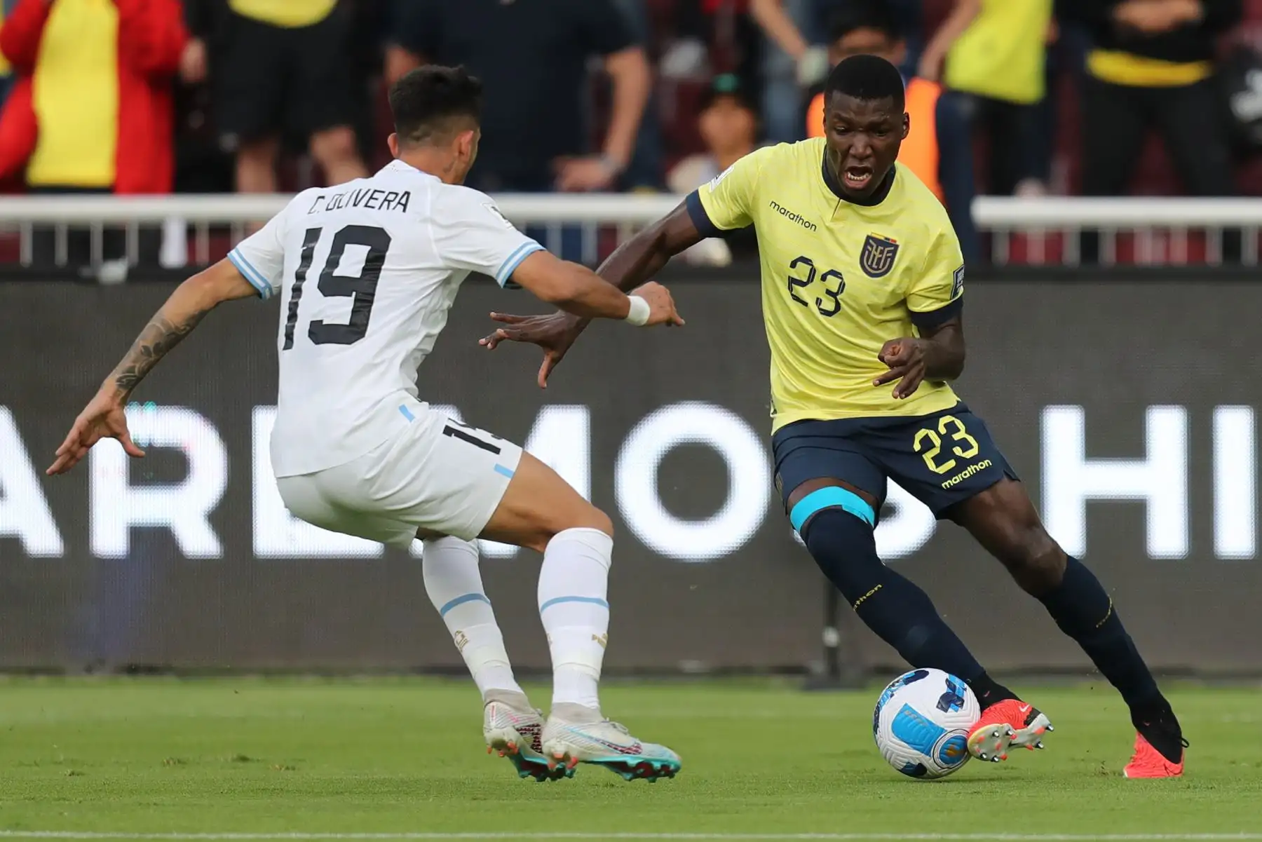 Moisés Caicedo (d) de Ecuador disputa el balón con Cristian Olivera Ibarra de Uruguay hoy, en un partido de las Eliminatorias Sudamericanas para la Copa Mundial de Fútbol 2026 entre Ecuador y Uruguay en el estadio Rodrigo Paz Delgado en Quito (Ecuador).
Foto: EFE