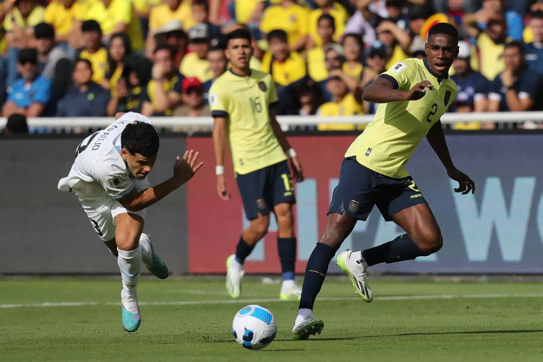 Félix Torres Caicedo (d) de Ecuador disputa el balón con Maximiliano Araújo (i) de Uruguay hoy, en un partido de las Eliminatorias Sudamericanas para la Copa Mundial de Fútbol 2026 entre Ecuador y Uruguay en el estadio Rodrigo Paz Delgado en Quito (Ecuador).
Foto: EFE