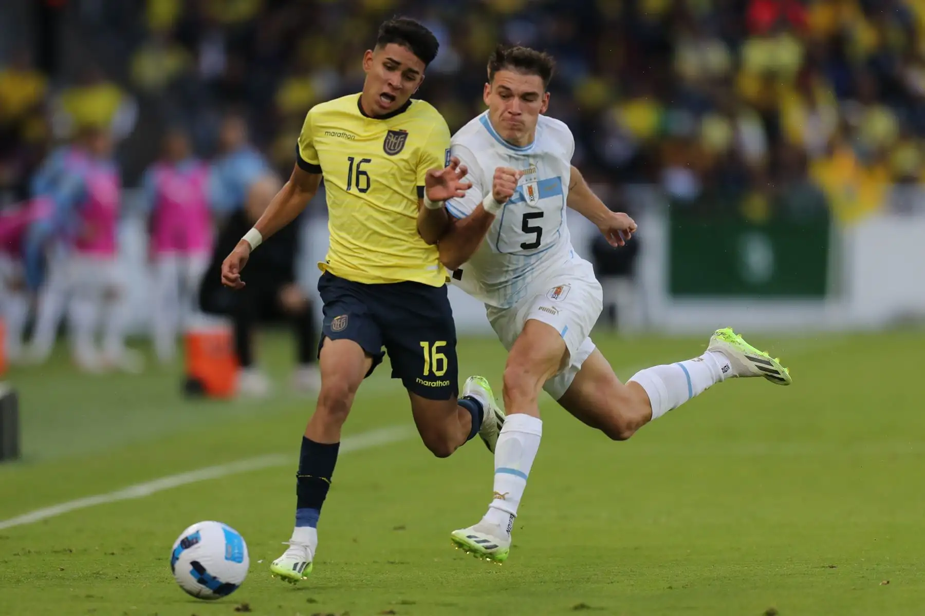 Kendry Páez (i) de Ecuador disputa el balón con Manuel Ugarte Ribeiro de Uruguay hoy, en un partido de las Eliminatorias Sudamericanas para la Copa Mundial de Fútbol 2026 entre Ecuador y Uruguay en el estadio Rodrigo Paz Delgado en Quito (Ecuador).
Foto: EFE