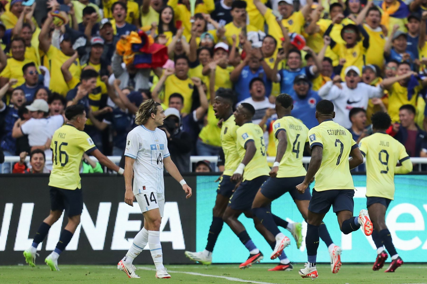Ecuador derrota a Uruguay en Quito y toma impulso en la clasificatoria sudamericana. Foto. EFE