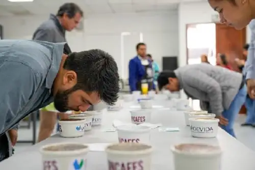 En la subasta de cafés especiales del 2022 se generaron ventas por más de 111,591.80 soles, informó Devida.