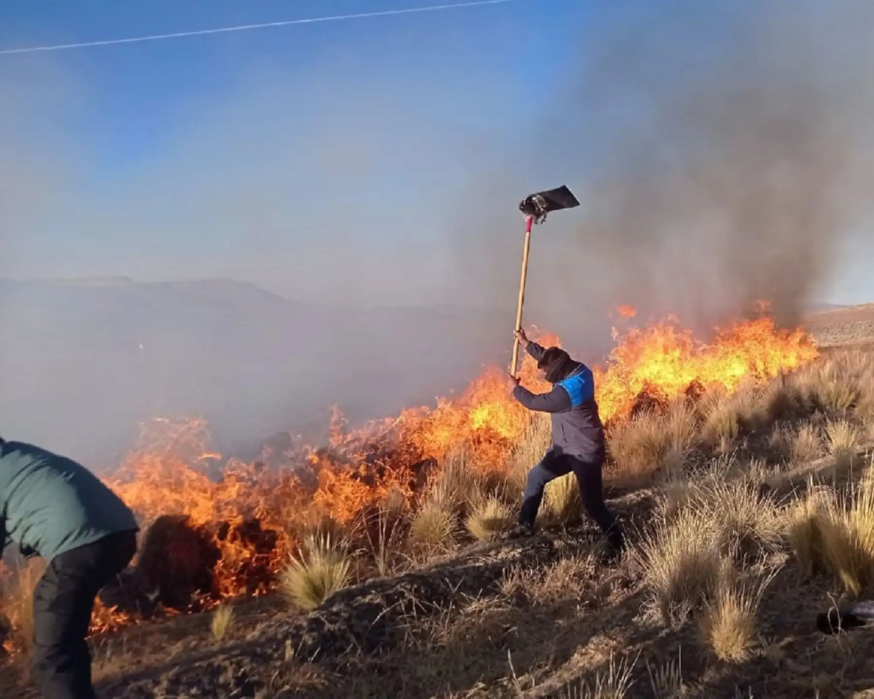 Un devastador incendio forestal registrado en el distrito de Huacullani, región Puno, causó la muerte de ganado ovino y arrasó con más de 1,000 hectáreas de pastizales. ANDINA/Difusión