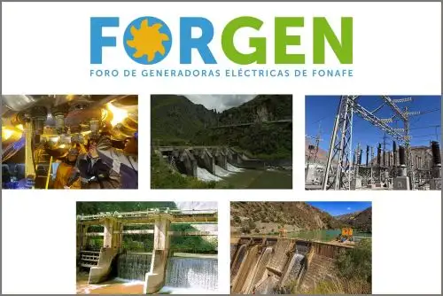 El Fondo Nacional de Financiamiento de la Actividad Empresarial del Estado (Fonafe) realiza en Lima el foro de gestión sostenible en las empresas generadoras de energía eléctrica del Estado. Foto: Cortesía.