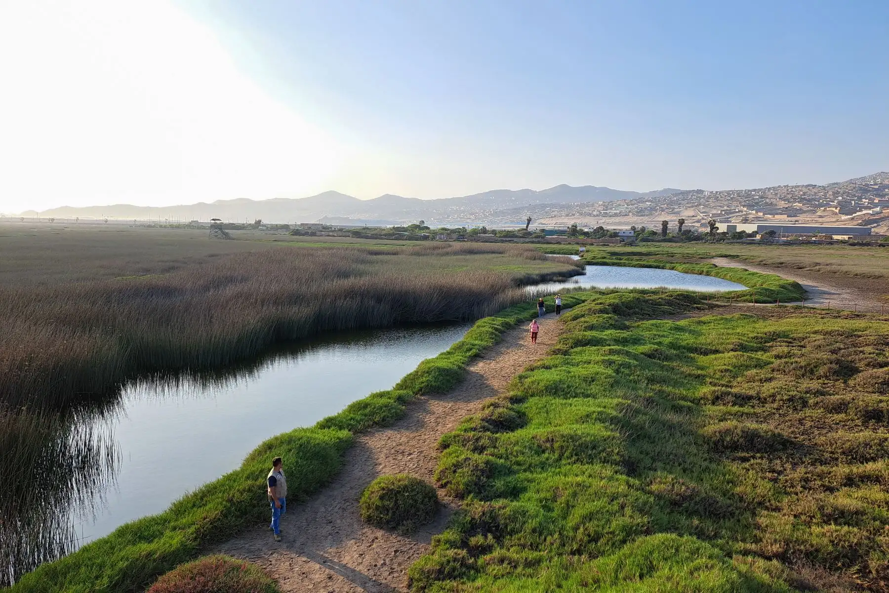 El viaje lleva a los turistas a recorrer la Lima prehispánica: la zona arqueológica de El Paraíso, en el distrito de San Martín de Porres; y Huaca Pro, en Los Olivos.Los visitantes aprenden que El Paraíso tiene una antigüedad de 4,000 años, mientras que Huaca Pro es tardía, de esta era, solo anterior a la llegada de los incas a esta zona del Chillón.
Foto: ANDINA/Eddy Ramos