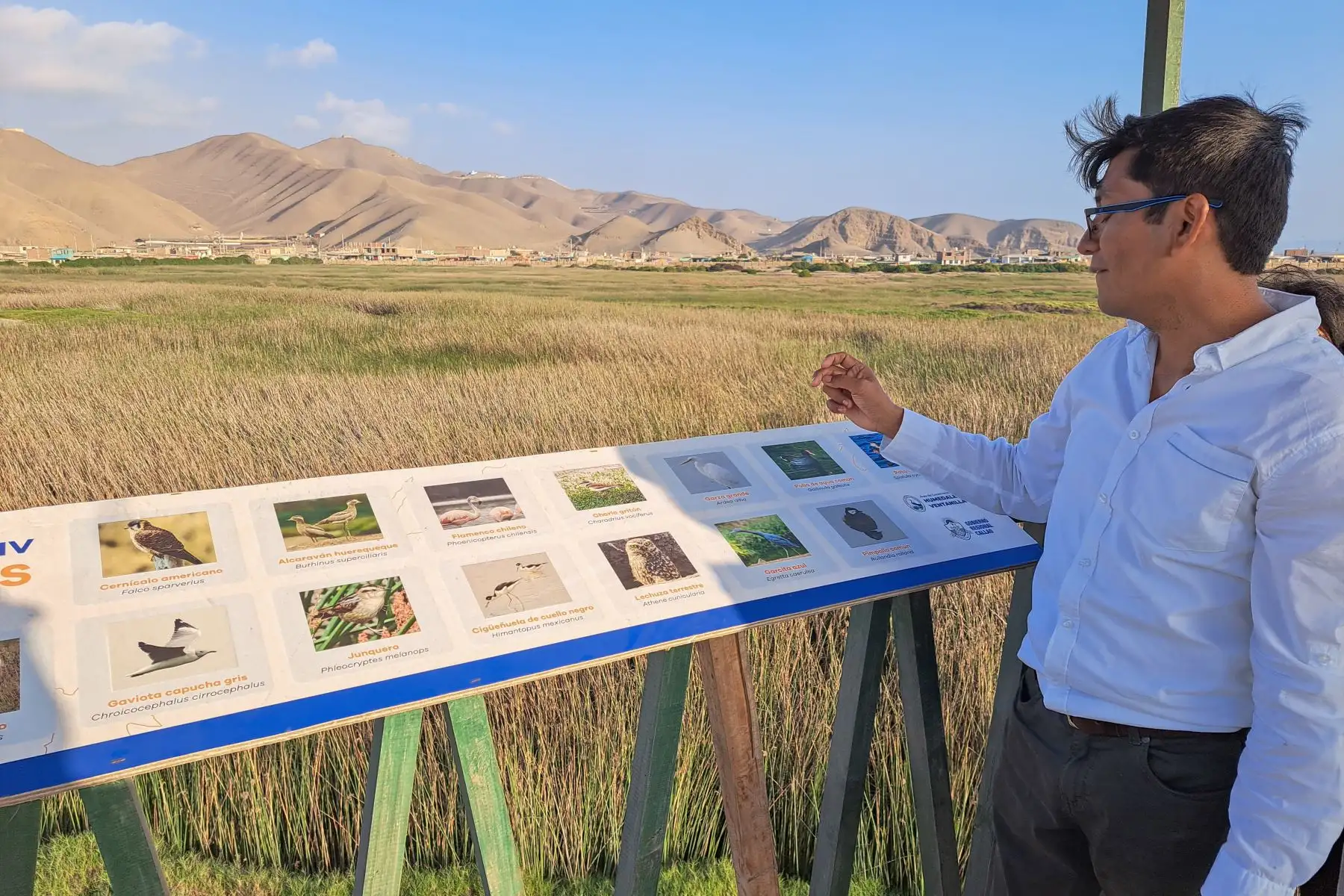 El viaje lleva a los turistas a recorrer la Lima prehispánica: la zona arqueológica de El Paraíso, en el distrito de San Martín de Porres; y Huaca Pro, en Los Olivos.Los visitantes aprenden que El Paraíso tiene una antigüedad de 4,000 años, mientras que Huaca Pro es tardía, de esta era, solo anterior a la llegada de los incas a esta zona del Chillón.
Foto: ANDINA/Eddy Ramos
