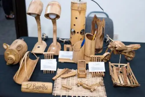Con el objetivo de potenciar la producción sostenible de bambú en las regiones de Piura, Cajamarca y Amazonas, se inició el proyecto “Innovación productiva y tecnológica con el bambú en el corredor económico fronterizo del nororiente peruano - Bambú Nororiente”.