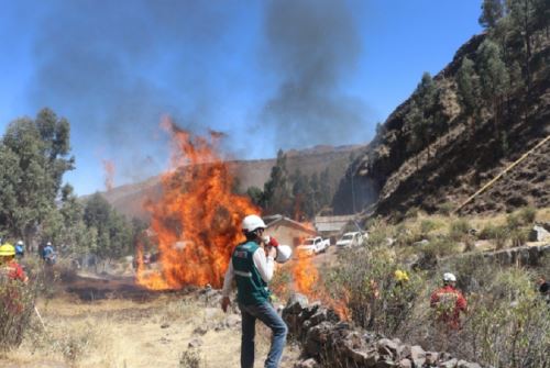 Región Arequipa registra 47 incendios forestales en lo que va del año. Foto: ANDINA/difusión.