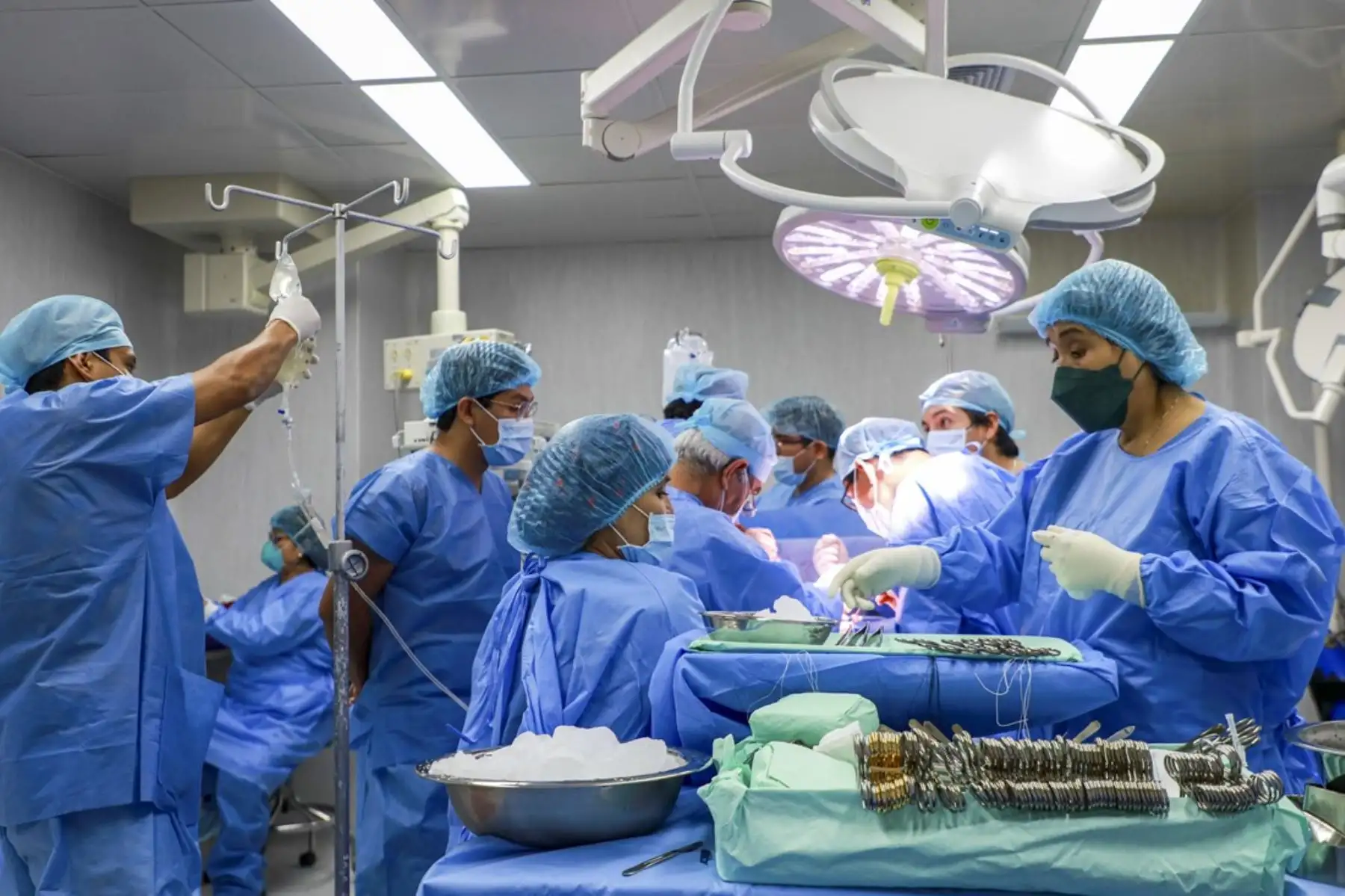 EsSalud: la familia debe conocer y respetar la decisión de donar órganos. Foto: ANDINA/Difusión.