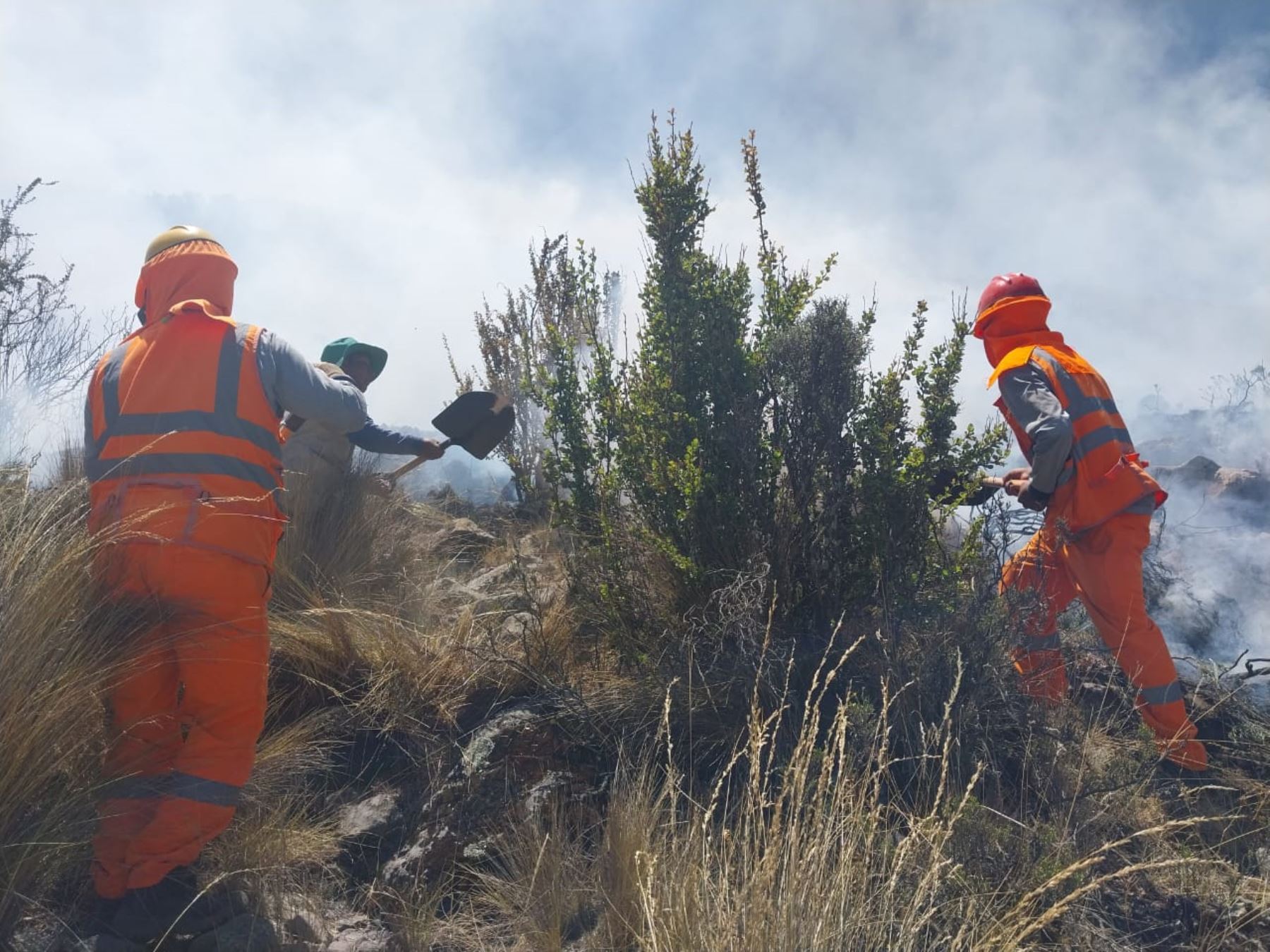 Un incendio forestal afecta el bosque de queñuales del distrito de Pocsi, en Arequipa, una especie en peligro de extinción. ANDINA/Difusión