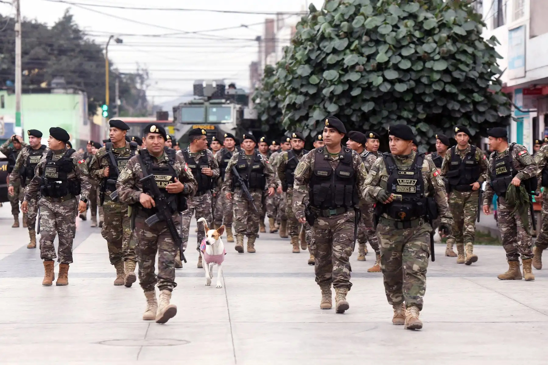 Photo: Ministry of Interior of Peru