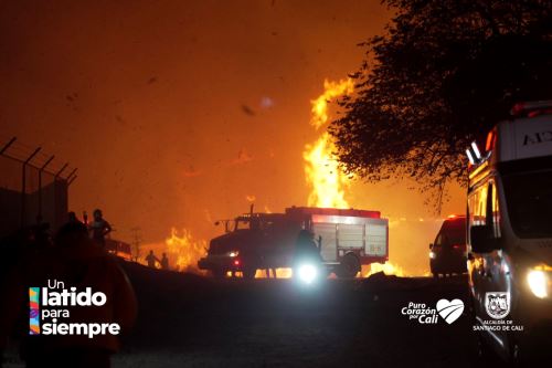 Infierno en Cali: bomberos luchan para controlar incendio forestal