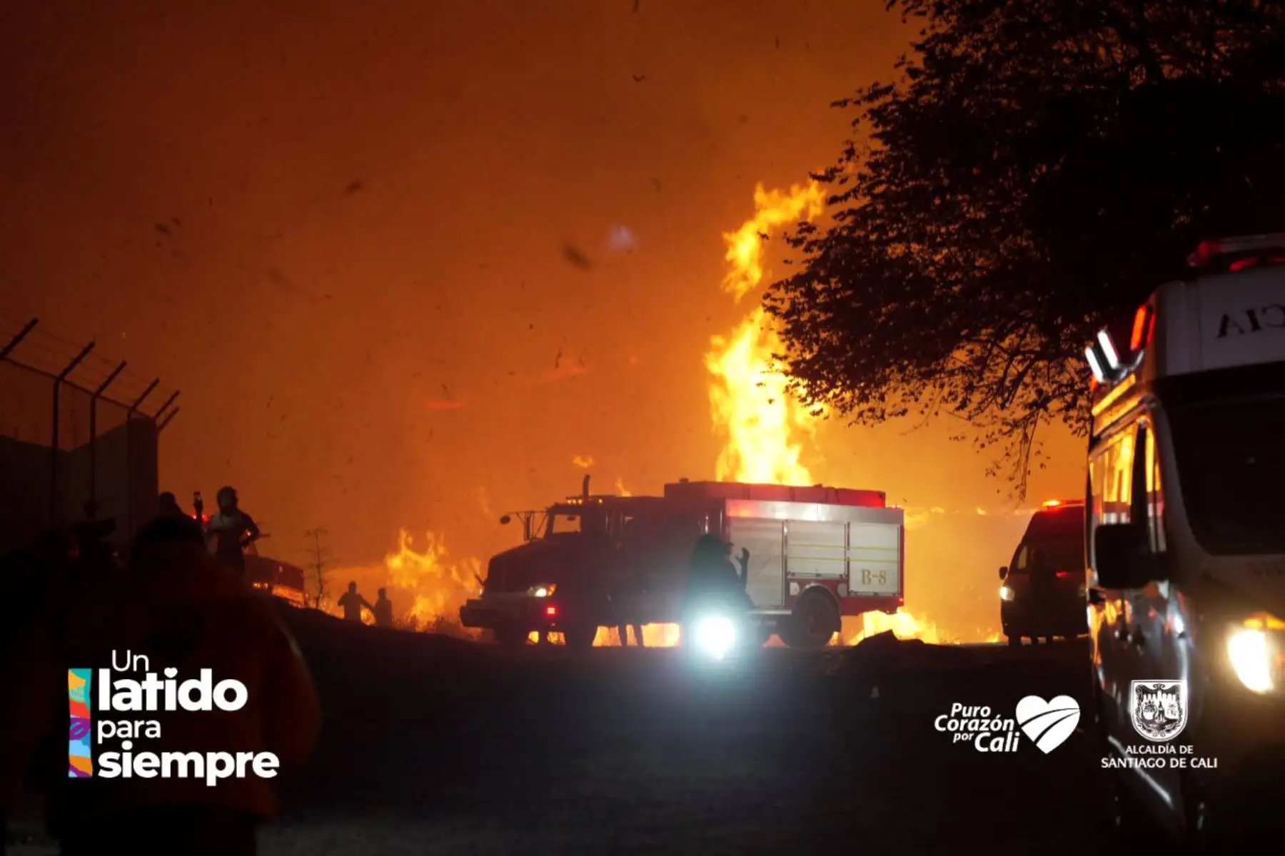 Alrededor de un centenar de unidades de bomberos trabajan arduamente en la extinción del incendio forestal desatado en el sector Colinas, en Altos de Menga, al norte de Cali, Colombia. Pobladores se han sumado a las labores. Foto: ANDINA/Difusión