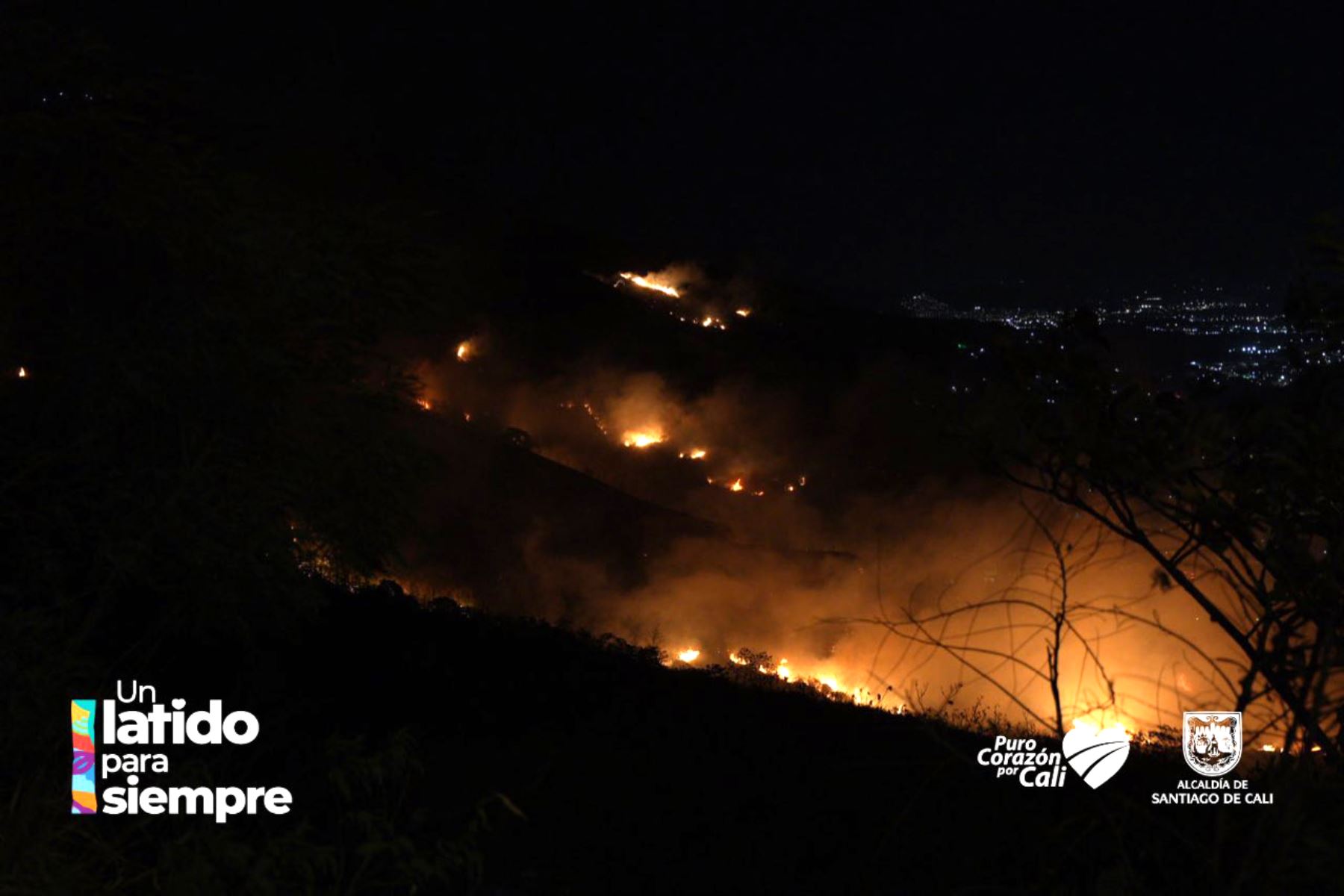 Alrededor de un centenar de unidades de bomberos trabajan arduamente en la extinción del incendio forestal desatado en el sector Colinas, en Altos de Menga, al norte de Cali, Colombia. Pobladores se han sumado a las labores. Foto: ANDINA/Difusión
