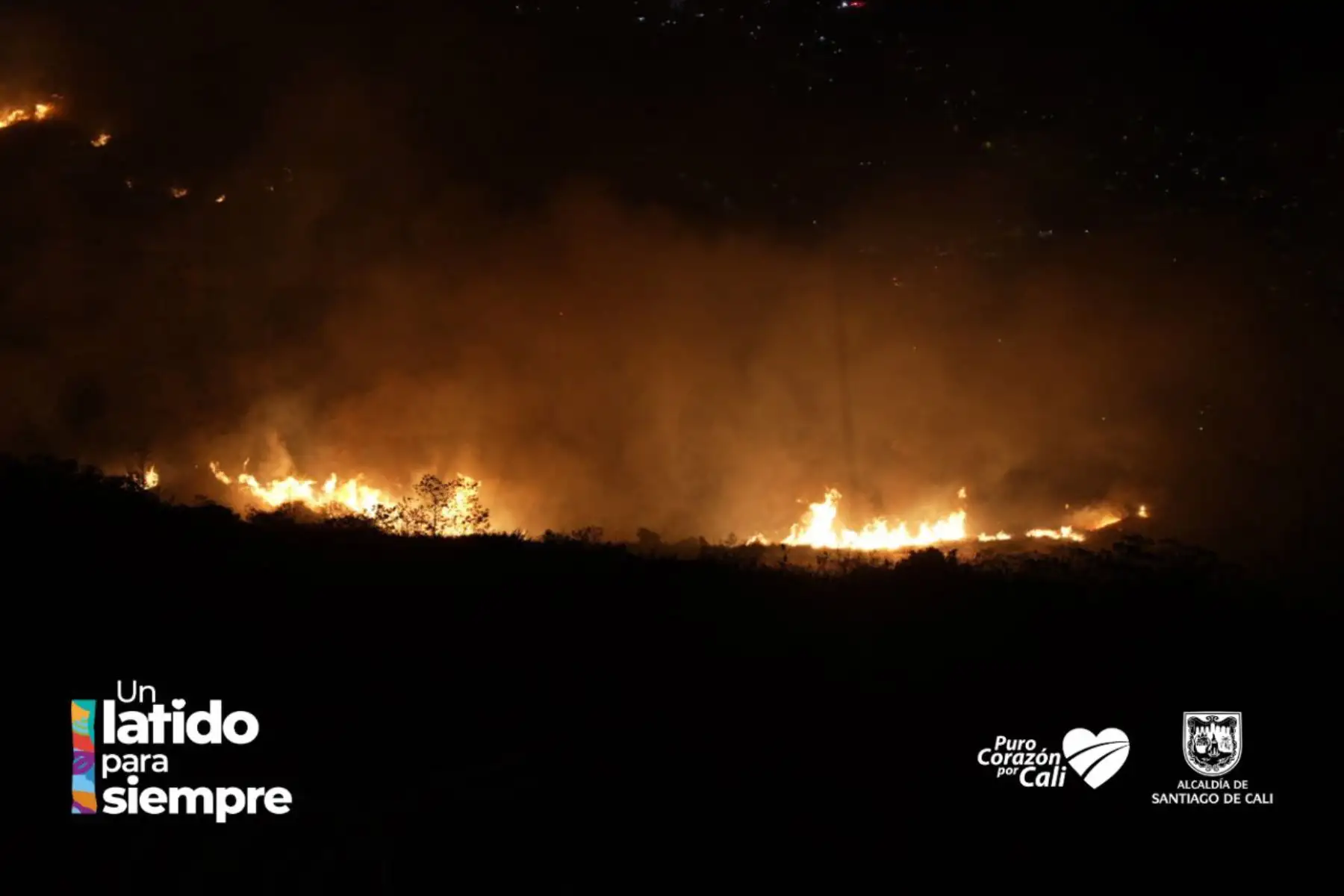 Alrededor de un centenar de unidades de bomberos trabajan arduamente en la extinción del incendio forestal desatado en el sector Colinas, en Altos de Menga, al norte de Cali, Colombia. Pobladores se han sumado a las labores. Foto: ANDINA/Difusión