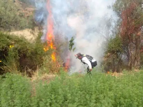 Especialistas de la Dirección General de Ordenamiento Territorial y de la Gestión Integrada de los Recursos Naturales de dicho sector han registrado más de 190 incendios forestales en lo que va del 2024, la mayoría en zonas andina.ANDINA/Difusión