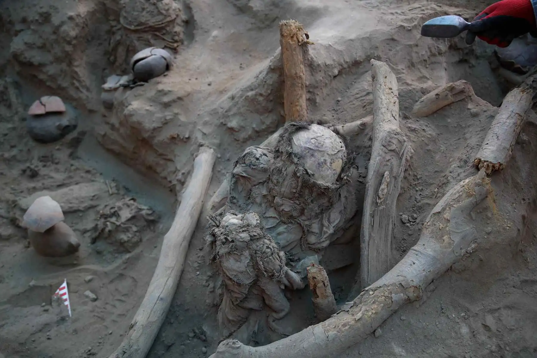 Son ocho contextos funerarios compuestos por seis niños y dos adultos, están enfardelados, es decir cubiertos por telas y acompañados de su ajuar funerario compuesto de vasijas, material de calabaza y herramientas de madera. Foto: EFE